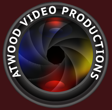 AVP Logo